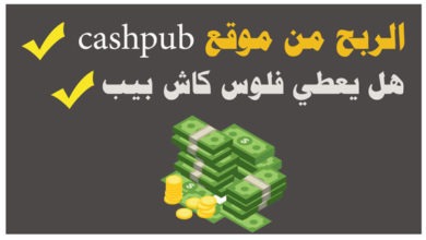 الربح من موقع cashpub