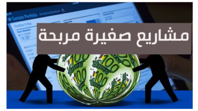 مشاريع صغيرو مربحة